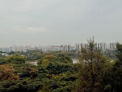Blk 333 Kang Ching Road (Jurong West), HDB Executive #568263141